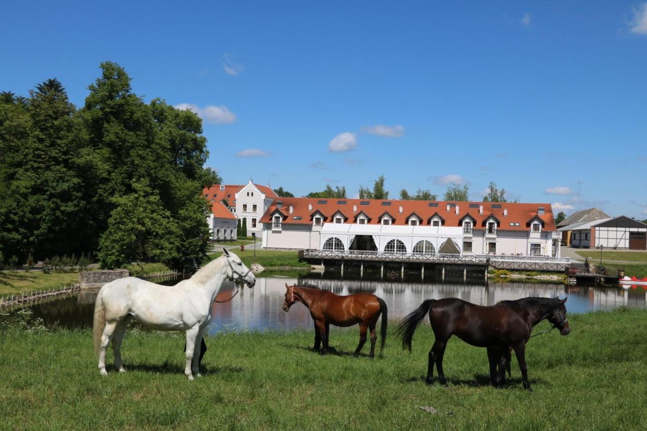 Palac Mortegi Hotel & Spa- Restauracja Szlachecka, Spa, Basen, Sauny, Jazda Konna, Mini Zoo- Luksus, Relaks I Przyroda W Jednym! Lubawa Екстериор снимка
